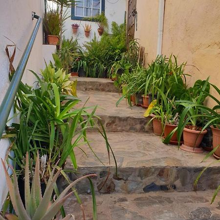 Casa Apartamento Los Llanos Los Llanos De Aridane Εξωτερικό φωτογραφία