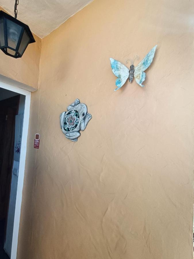 Casa Apartamento Los Llanos Los Llanos De Aridane Εξωτερικό φωτογραφία